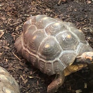 Meet your Posher, Margaret